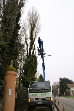 Manutenzioni e potature piante